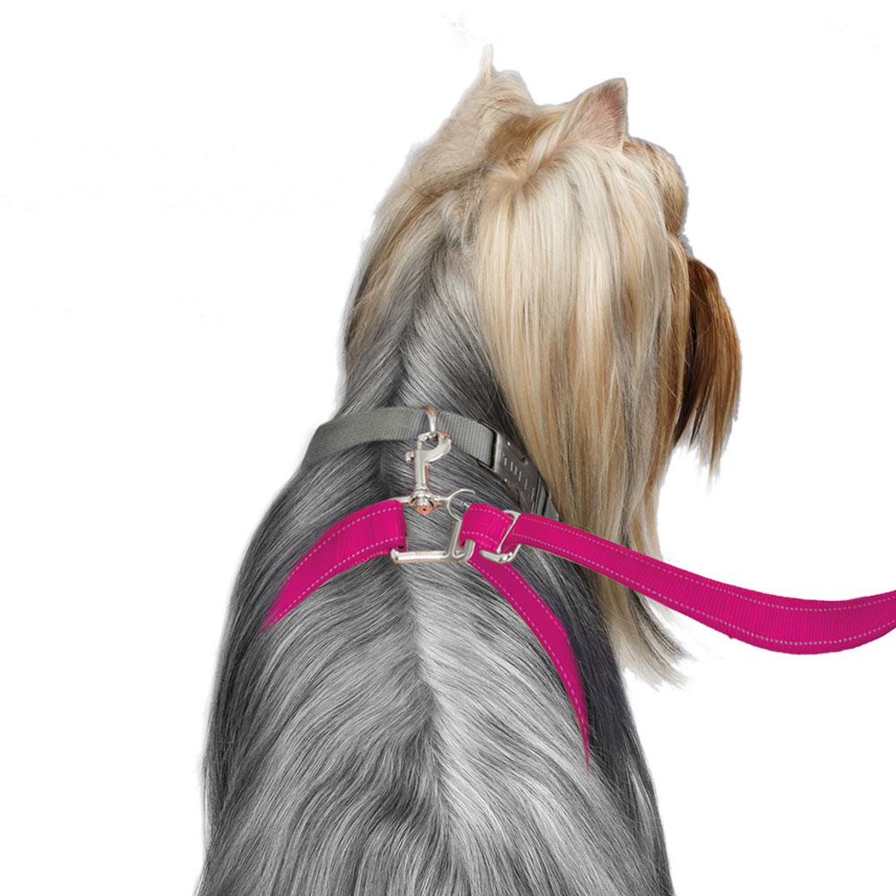 sm-image-f12404f5655ad9a957d1f176 ThunderLeash®