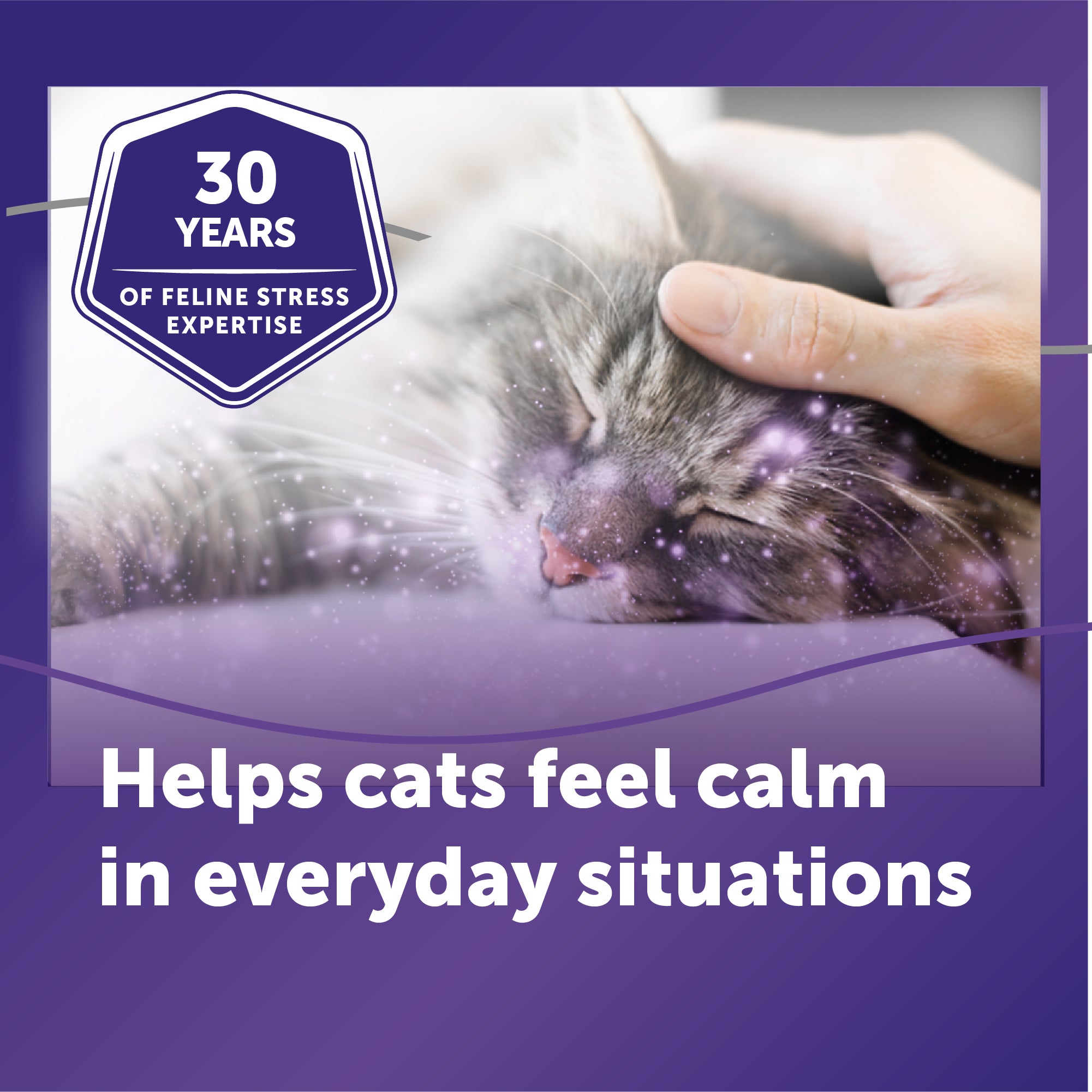sm-image-f124cd98bfb529d0f402bbbb FELIWAY® Optimum Refill