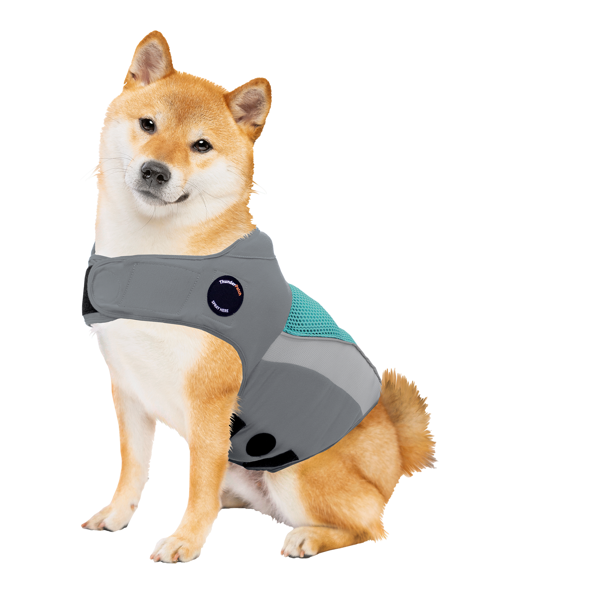 sm-image-f35d28e9338b7c758cf98bdb ThunderShirt® Breeze for Dogs