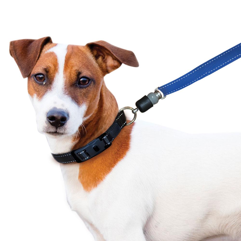 sm-image-fb179bc9a4e80a26a50f7aed ThunderSnap Quick-Connect Leash for Dogs